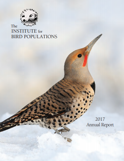 The Institute For Bird Populations – Home Page